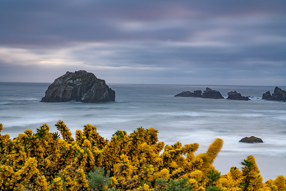 20180511_bandon_oregon_1378-Edit.jpg