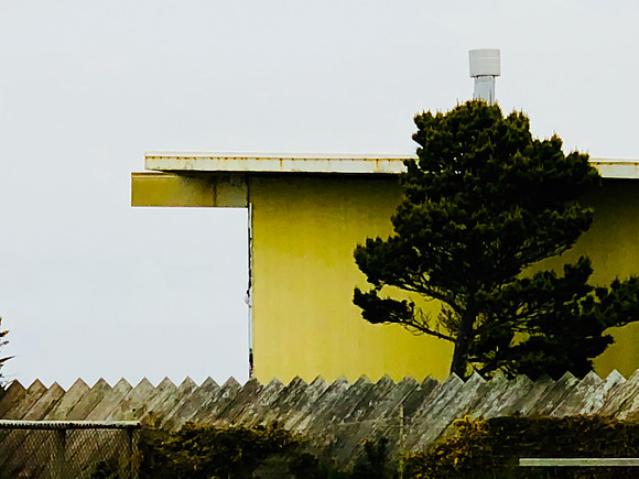 20180512_bandon_oregon_1396.jpg