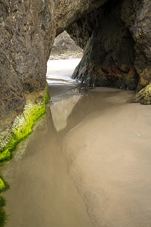 20180512_bandon_oregon_1464.jpg