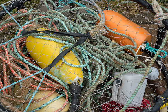 20180513_bandon_oregon_2136.jpg