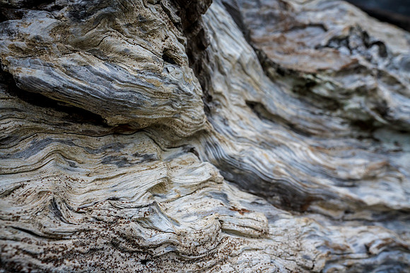 20180513_bandon_oregon_2977.jpg