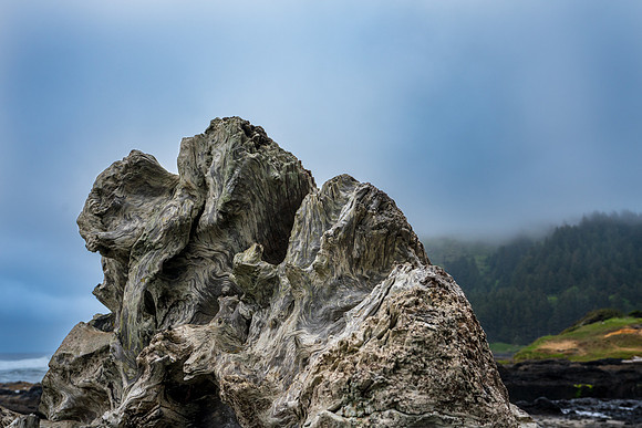 20180513_bandon_oregon_2983.jpg
