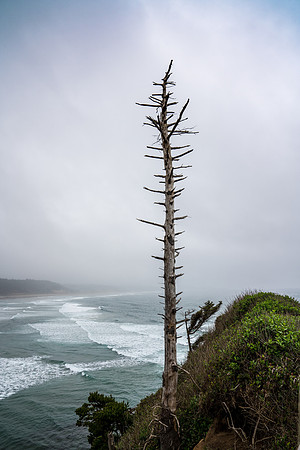20180509_bandon_oregon_0147-Edit.jpg