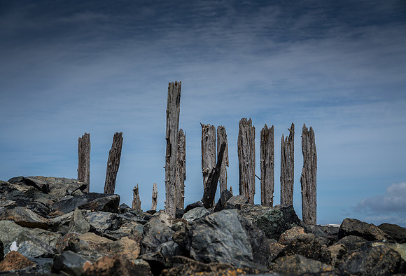 20180510_bandon_oregon_0370.jpg