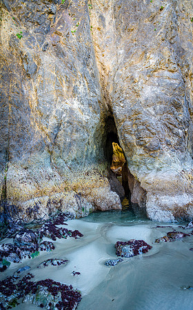 20180510_bandon_oregon_0647.jpg