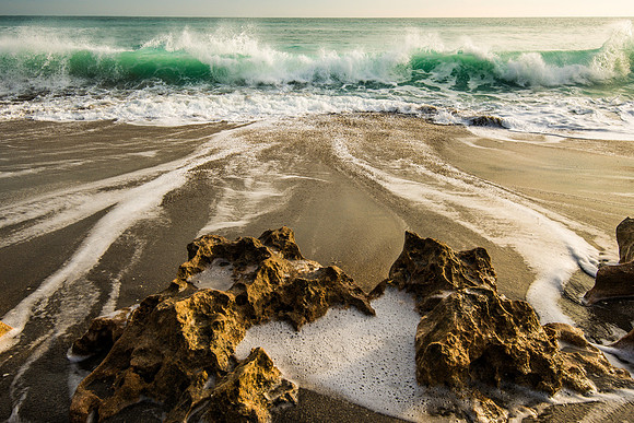 20141211_blowing_rock_preserve_0279
