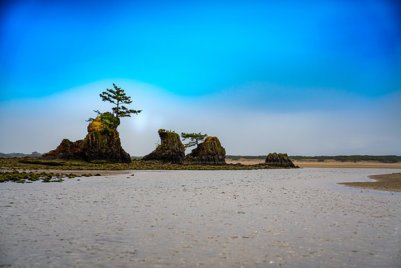 20180509_bandon_oregon_0071.jpg