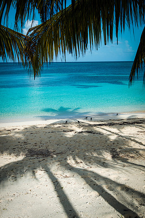20140822_cat_cay_0200-Edit