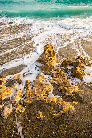 20141211_blowing_rock_preserve_0238