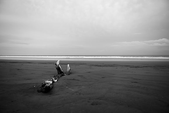 20190507_costa_rica-125-2.jpg