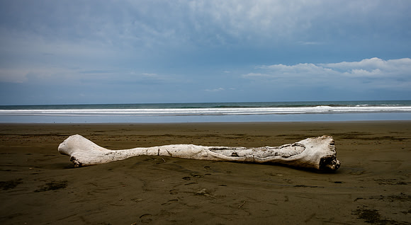 20190507_costa_rica-128.jpg