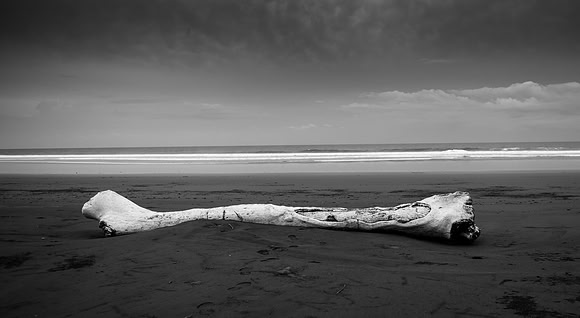 20190507_costa_rica-128-2.jpg