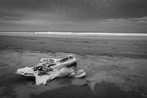 20190507_costa_rica-137.jpg