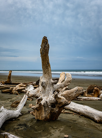 20190507_costa_rica-152-2.jpg