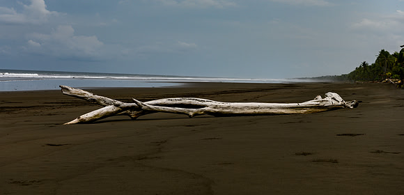 20190507_costa_rica-21-Edit.jpg