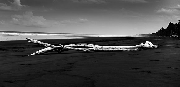 20190507_costa_rica-21-Edit-2.jpg