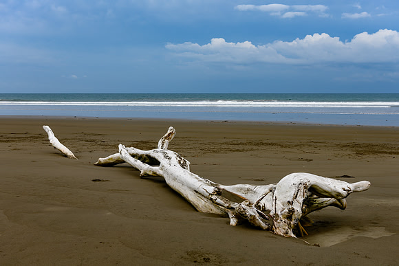 20190507_costa_rica-24.jpg
