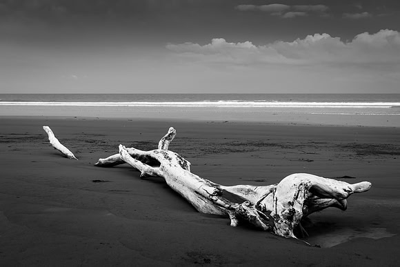 20190507_costa_rica-24-2.jpg