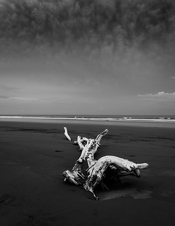 20190507_costa_rica-37.jpg