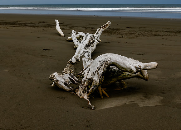 20190507_costa_rica-43.jpg