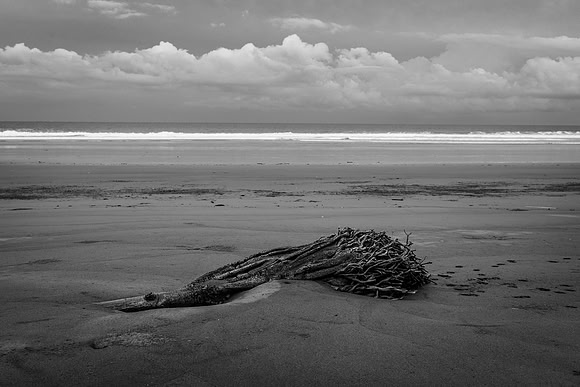 20190507_costa_rica-61.jpg
