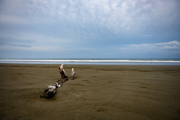 20190507_costa_rica-125.jpg