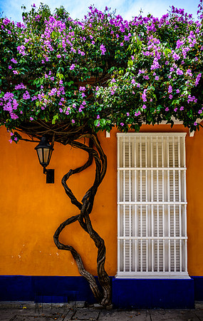 20191011_16_columbia_medellin_cartagena-1784-Edit.jpg