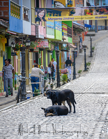 20191011_16_columbia_medellin_cartagena-3161.jpg