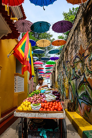 20191011_16_columbia_medellin_cartagena-1465.jpg