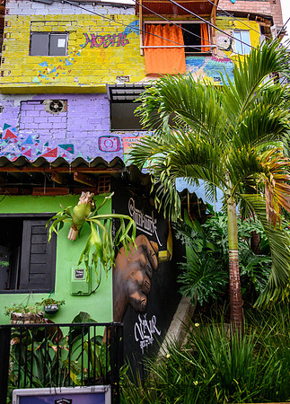 20191011_16_columbia_medellin_cartagena-3326.jpg