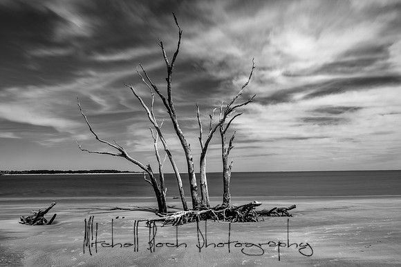 20200306_big_talbot-192-Edit-2.jpg