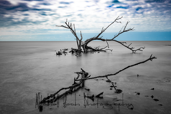DSC_2737-Edit.jpg