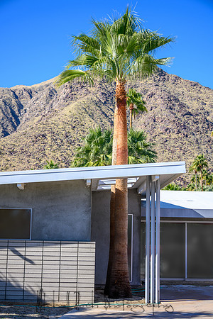 20191227_palm_springs-619-Edit-2.jpg