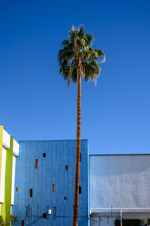 20191227_palm_springs-890.jpg