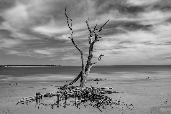 20200306_big_talbot-204-Edit.jpg
