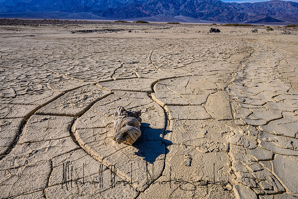 20200126_death_valley-3623.jpg