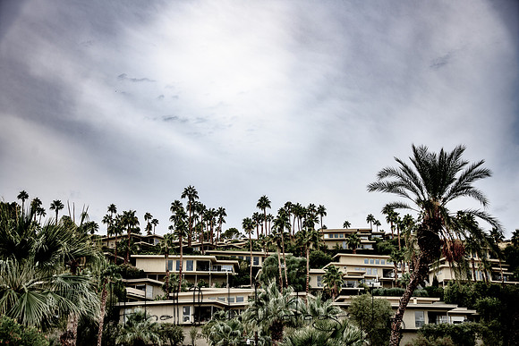 20191227_palm_springs-2034-Edit-2.jpg