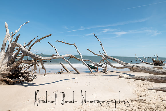 20200512_big_talbot_black_rock_beach-317-Edit.jpg
