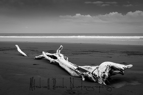 20190507_costa_rica-24-2.jpg