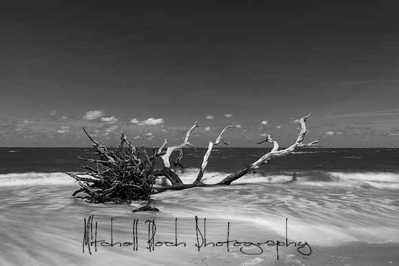 20200512_big_talbot_black_rock_beach-457.jpg