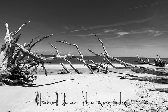 20200512_big_talbot_black_rock_beach-317-Edit-2.jpg