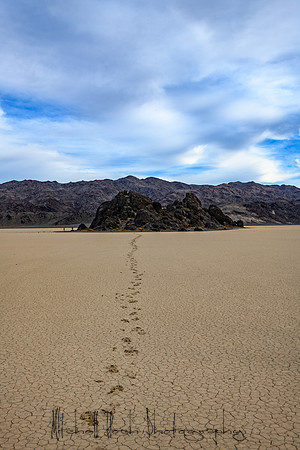 20200126_death_valley-4923.jpg