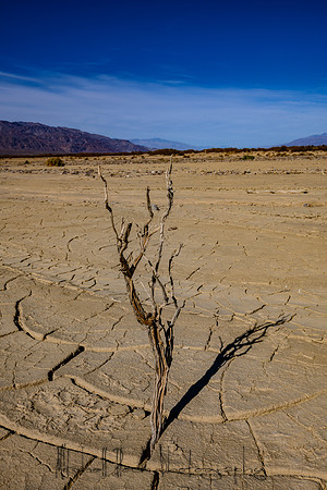 20200126_death_valley-3661.jpg