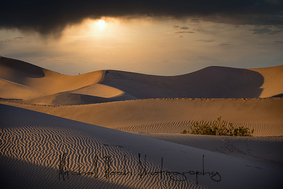 20200126_death_valley-4188_edit-Edit.jpg