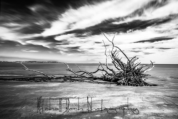 20200306_big_talbot-65-Edit.jpg