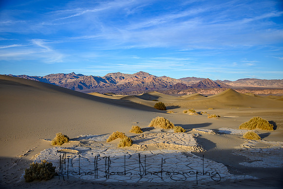 20200126_death_valley-4208.jpg