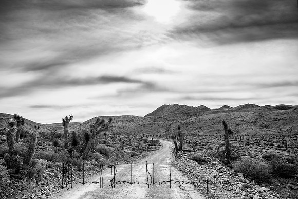 20200126_death_valley-4802.jpg