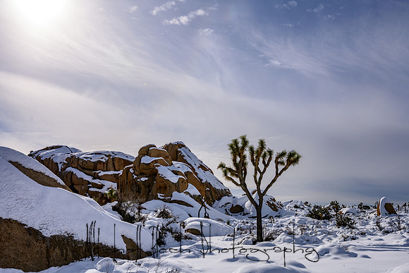 20191227_palm_springs-1258.jpg