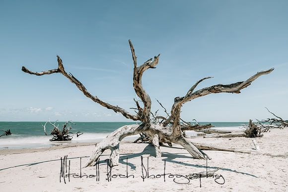 20200512_big_talbot_black_rock_beach-406-Edit.jpg