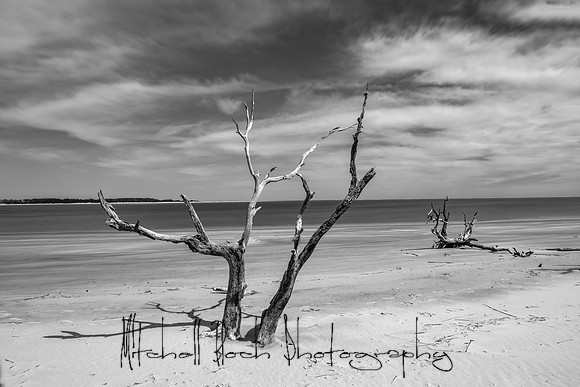 20200306_big_talbot-231-Edit-2.jpg